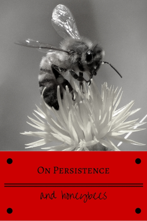 On Persistence and honeybees